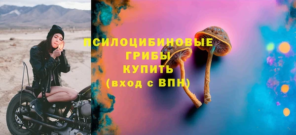 спайс Лагань