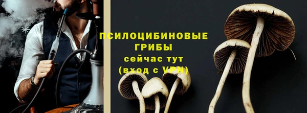 каннабис Лабытнанги