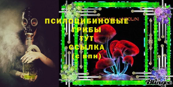 спайс Лагань