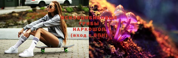 спайс Лагань